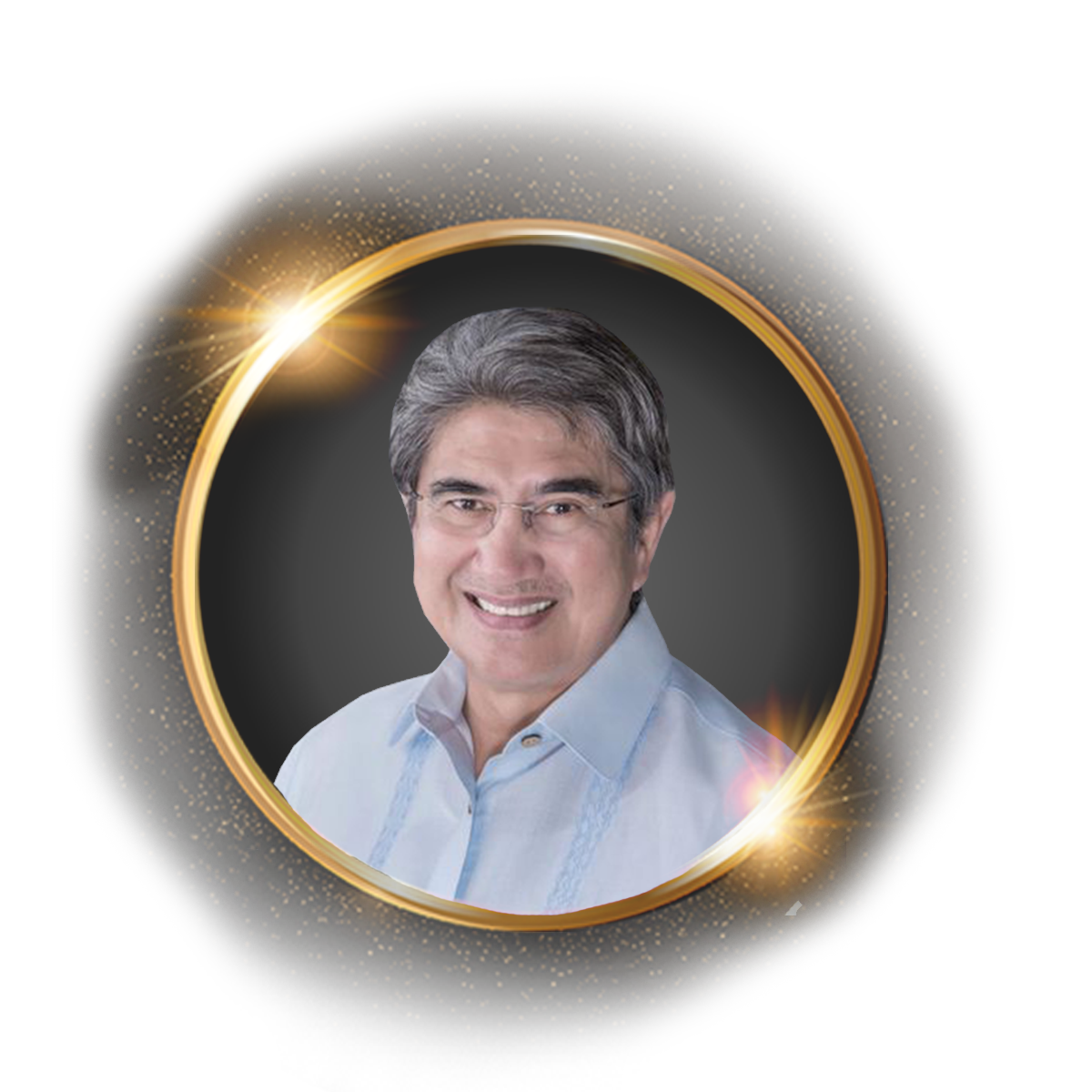 HON. GRINGO HONASAN II